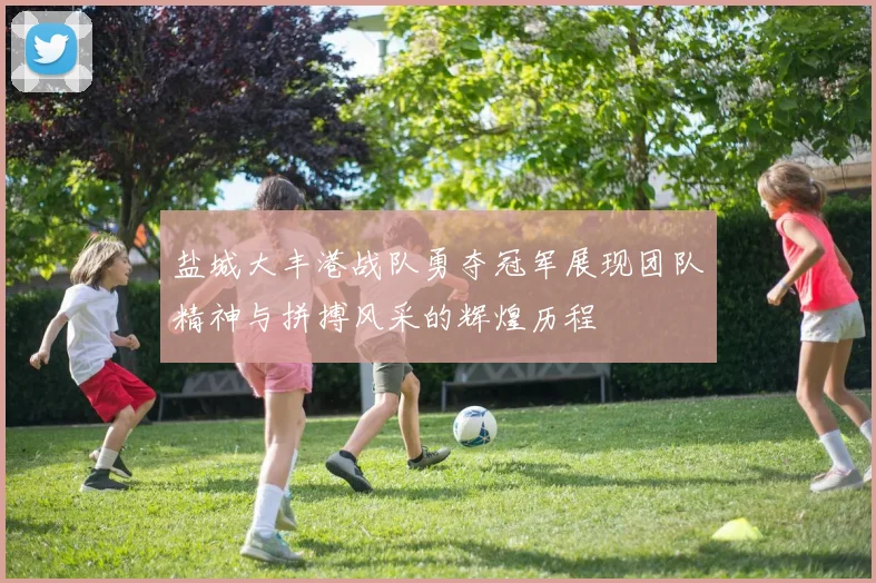 盐城大丰港战队勇夺冠军展现团队精神与拼搏风采的辉煌历程