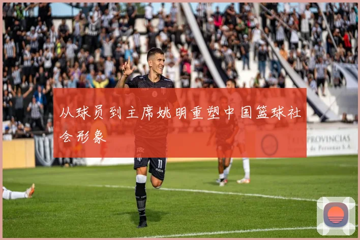从球员到主席姚明重塑中国篮球社会形象