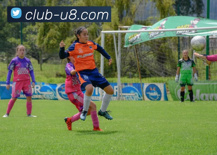 全球体育盛宴：多国顶尖赛事汇聚一堂，共同见证冠军之战